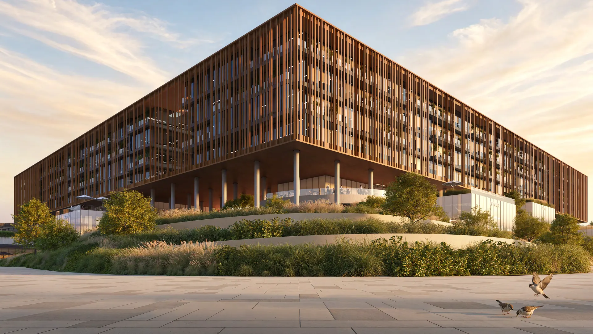 The Yards Plaza by BEYOND, timber screened office building on a landscaped podium at sunset